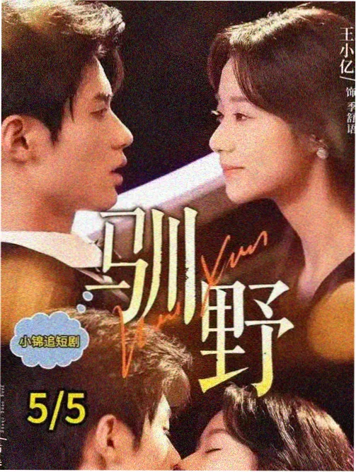 迷雾航线剧集封面